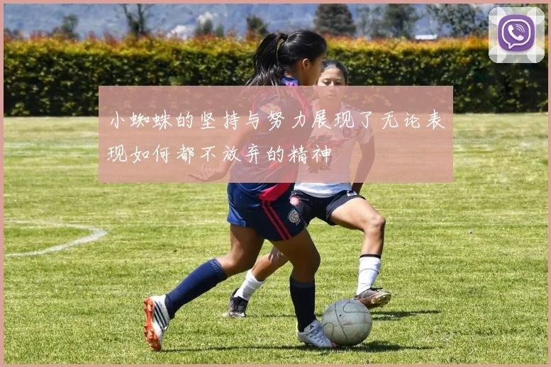 小蜘蛛的坚持与努力展现了无论表现如何都不放弃的精神