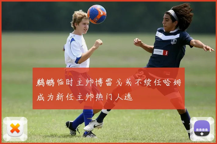 鹈鹕临时主帅博雷戈或不续任哈姆成为新任主帅热门人选